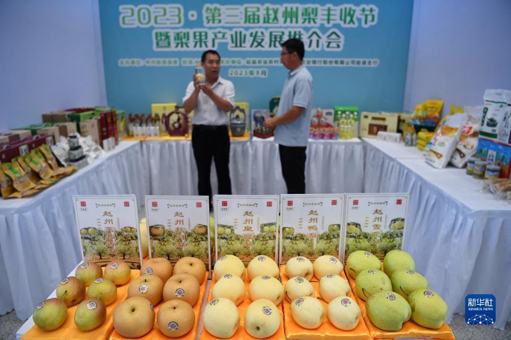 多宝游戏盒子官网